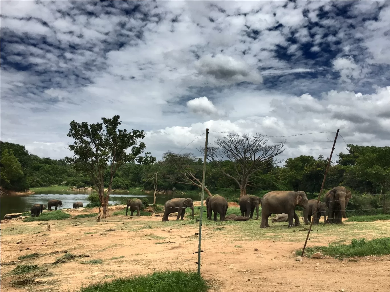 Photo of Coorg By Suraj Bajaj