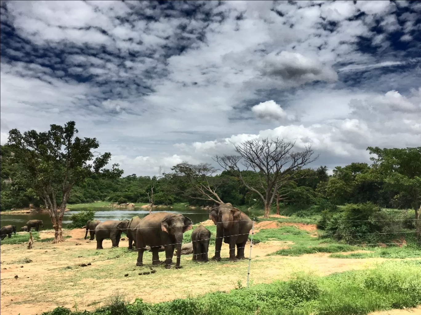 Photo of Coorg By Suraj Bajaj