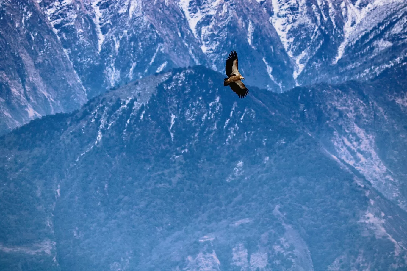 Photo of Himalayas By Suraj Bajaj