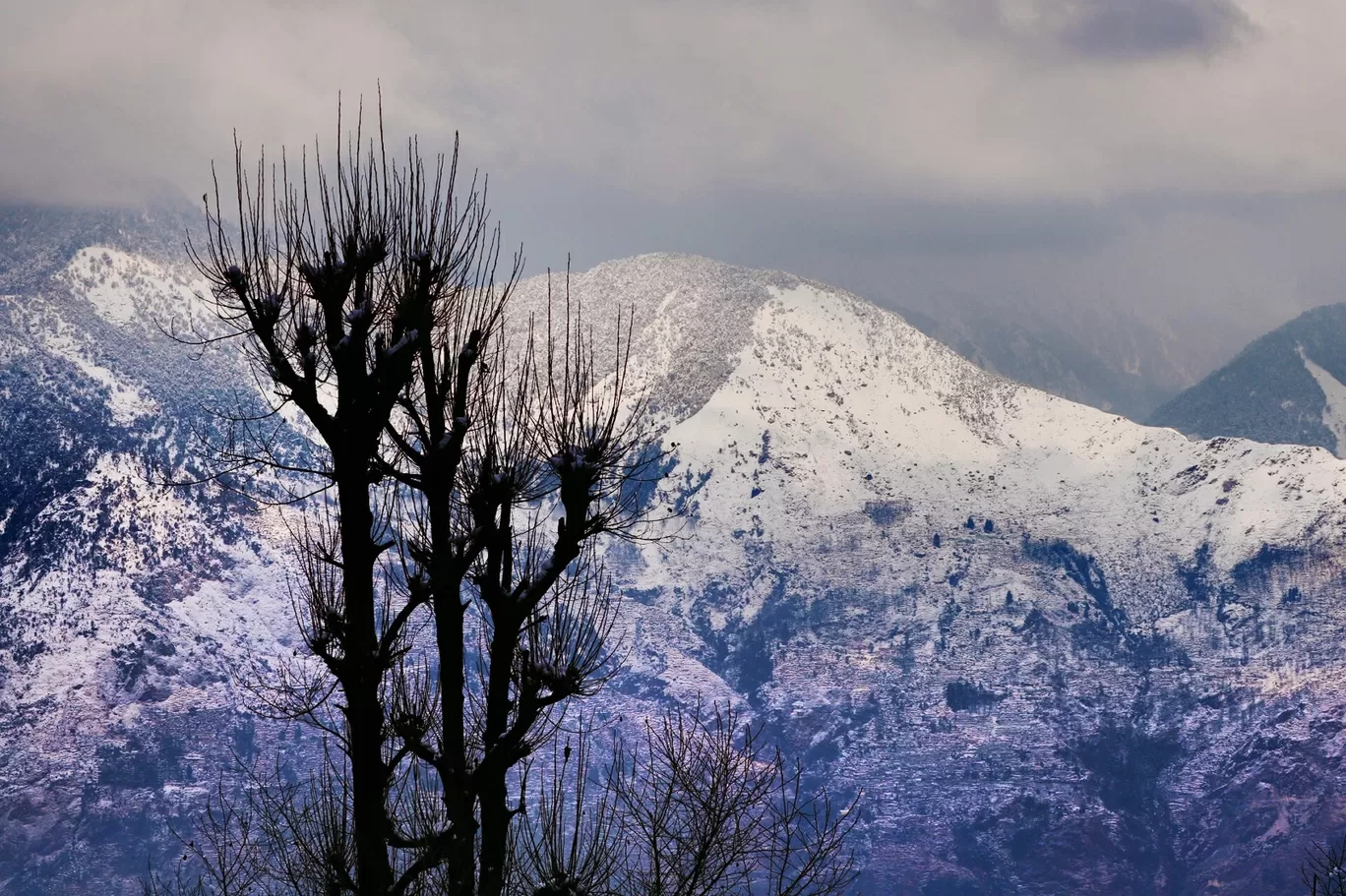 Photo of Himalayas By Suraj Bajaj