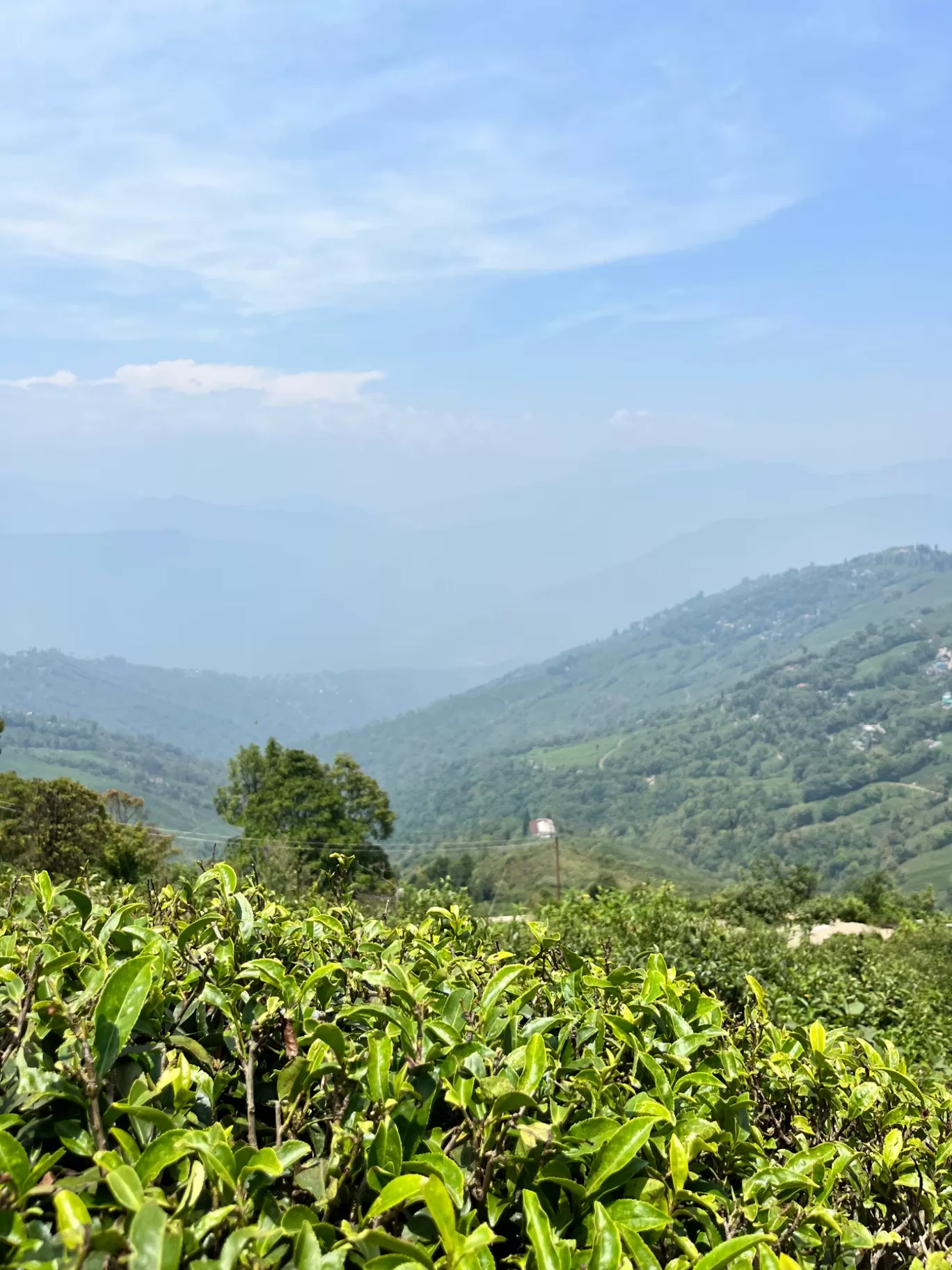 Photo of Gangtok By Mishal Pattanayak