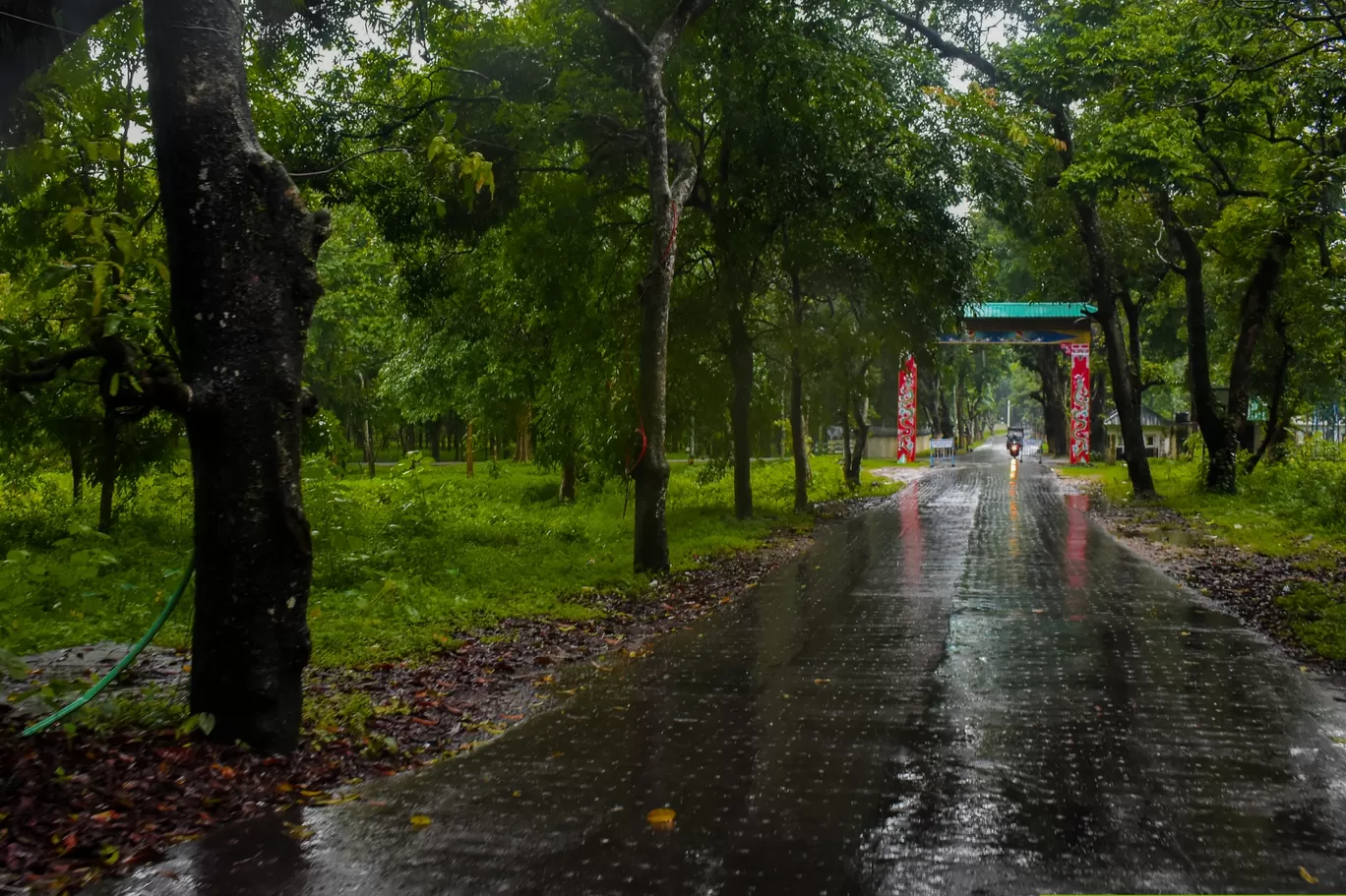 Photo of Rohini Road By Devraj Takri