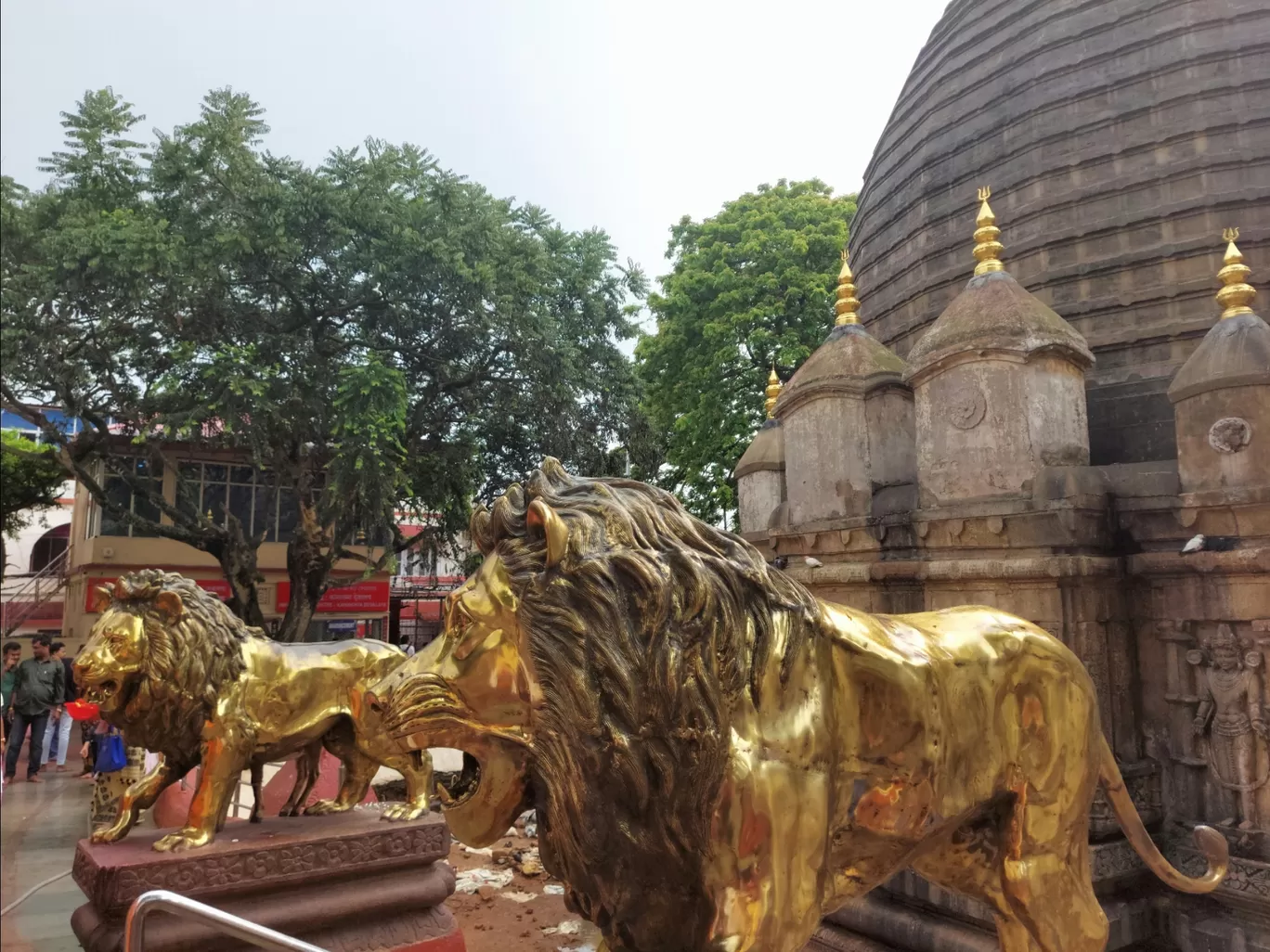 Photo of Kamakhya Temple By Tanumoy Sarkar