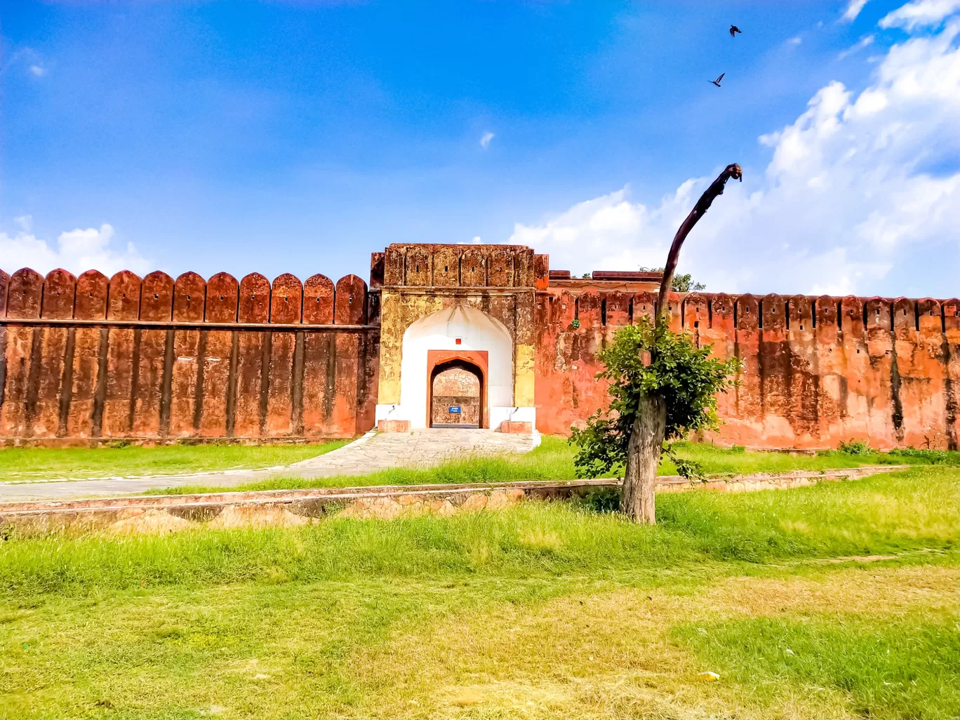 Photo of जयगढ़ किला By mayur sharma