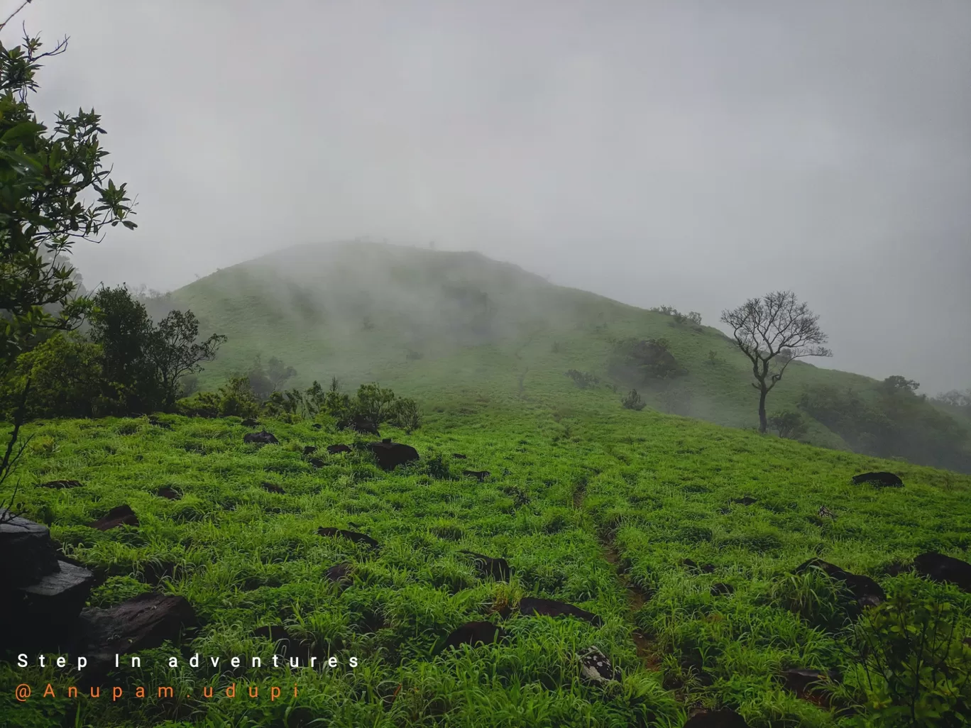Photo of Charmadi Ghat Attigere By Anupam Udupi