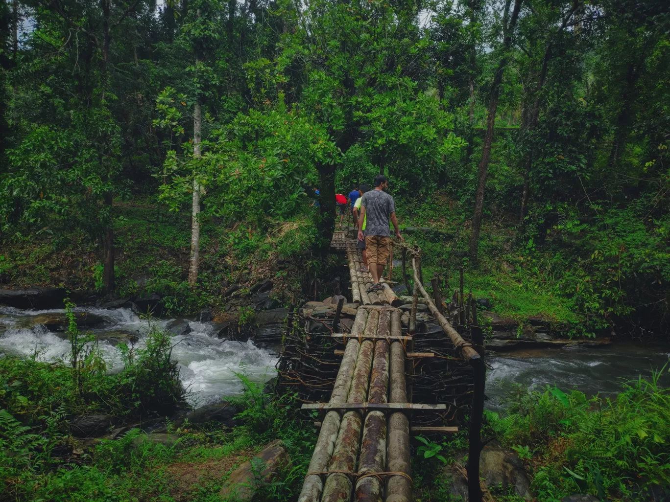 Photo of Charmadi Ghat Attigere By Anupam Udupi