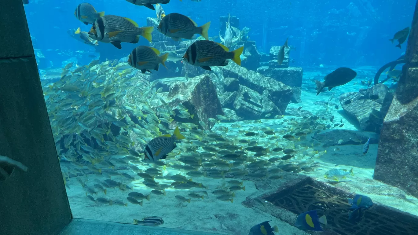 Photo of Atlantis By Gunjot K
