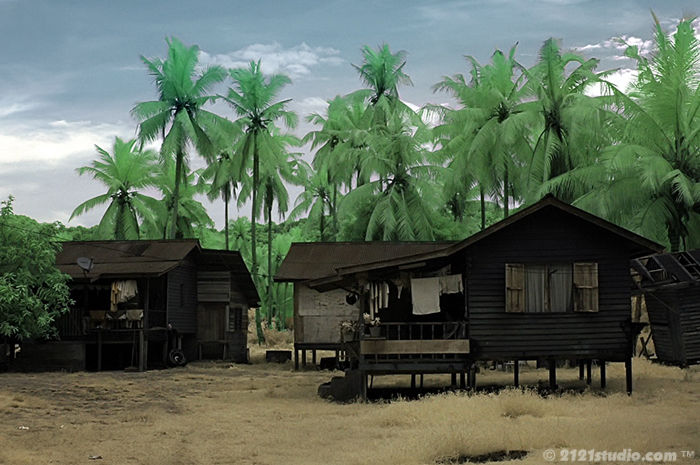 Places to Visit in Malaysia by Shweta Apte  Tripoto