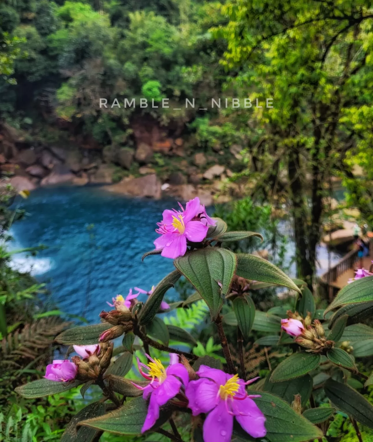 Photo of Krangshuri Falls By Wanderwoman