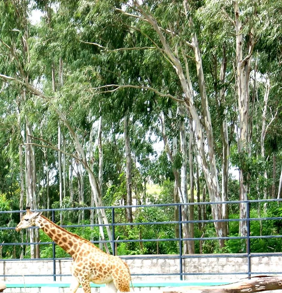 Photo of Bengaluru By Titli Ghosh