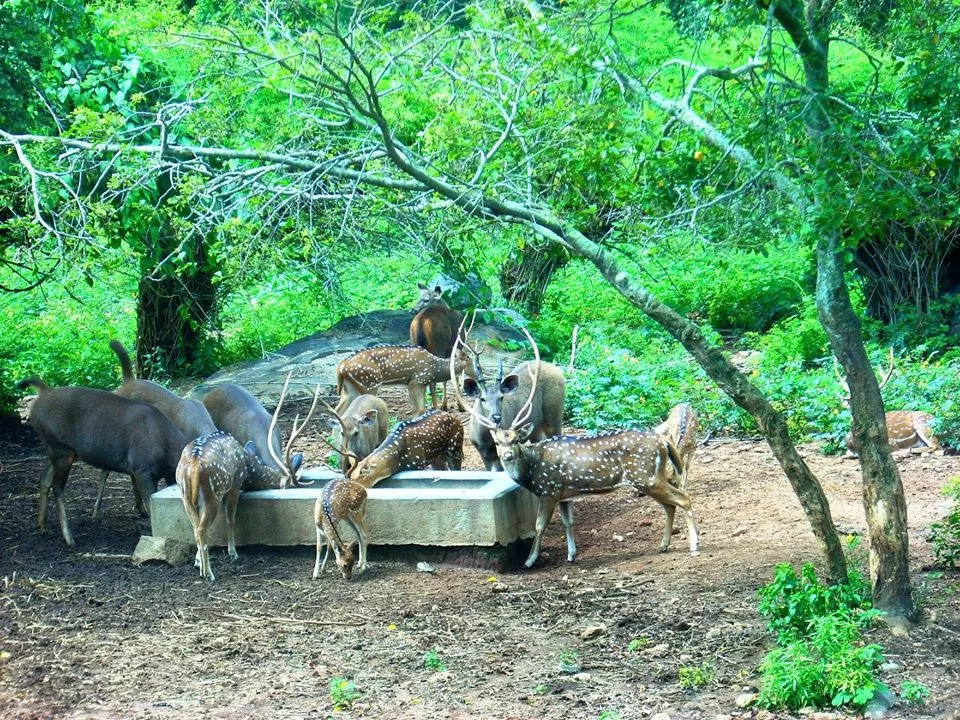 Photo of Bengaluru By Titli Ghosh