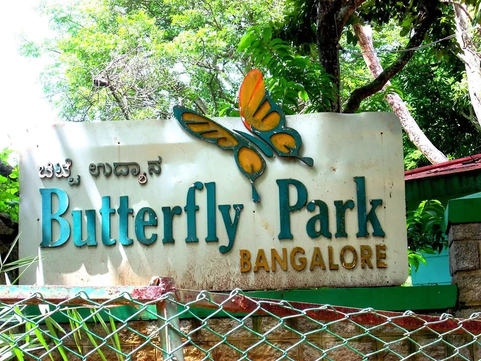 Photo of Bengaluru By Titli Ghosh