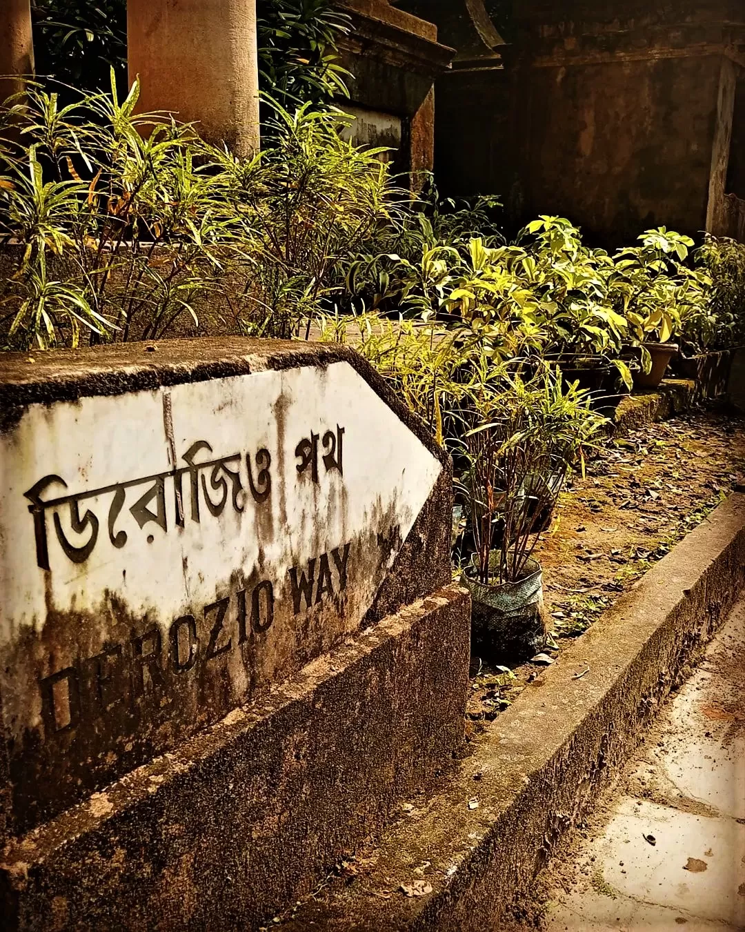 Photo of Kolkata By Titli Ghosh