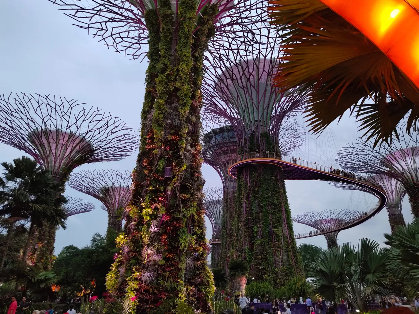 Photo of Singapore By Matrika Prasad
