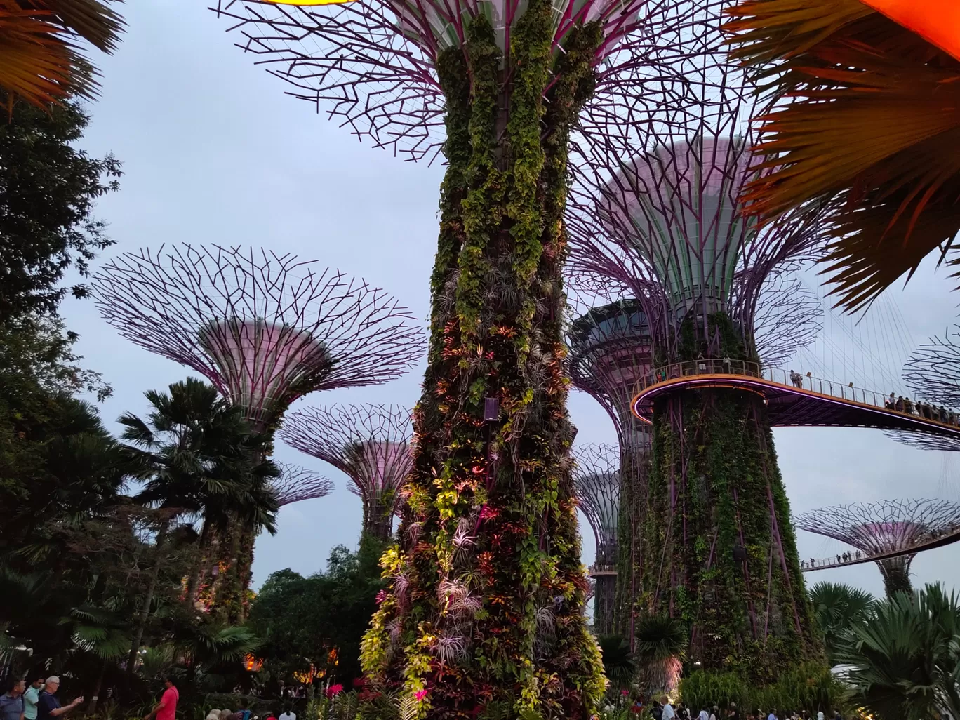 Photo of Singapore By Matrika Prasad