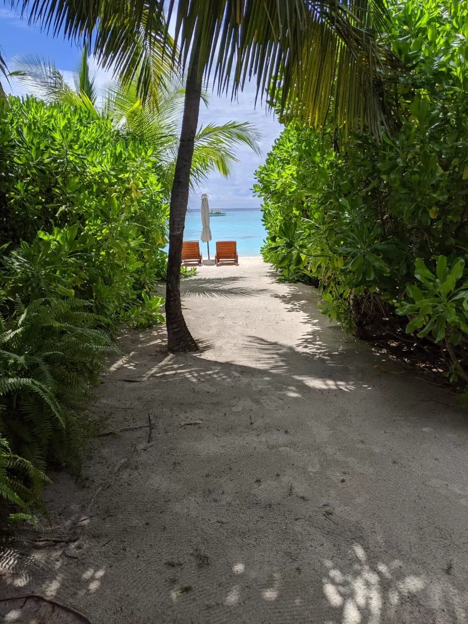 Photo of Maldives By Nikita Mathur
