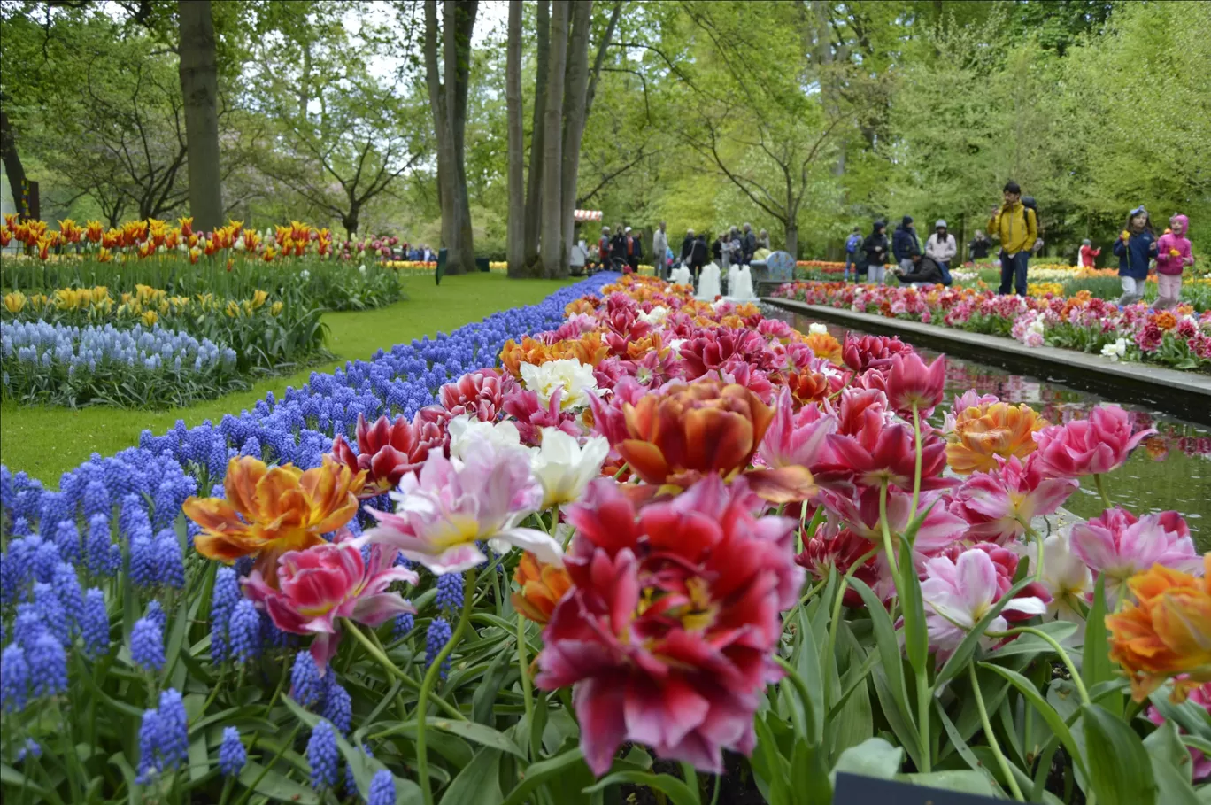 Photo of Keukenhof HOLLAND By Ninad Chitnis