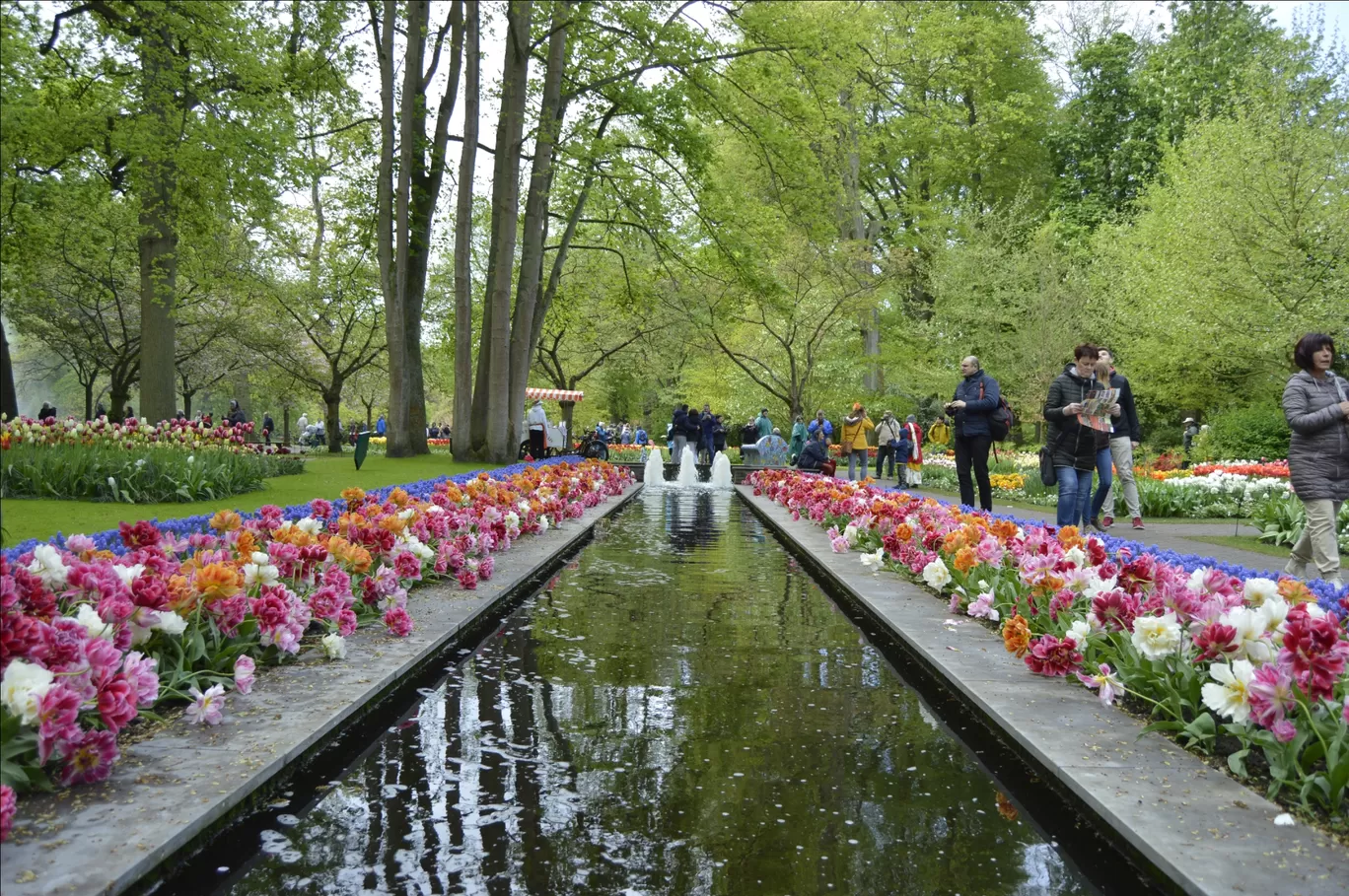Photo of Keukenhof HOLLAND By Ninad Chitnis