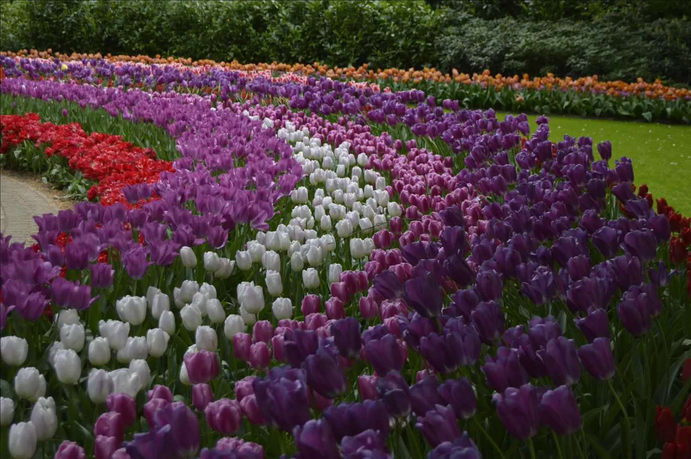 Photo of Keukenhof HOLLAND By Ninad Chitnis