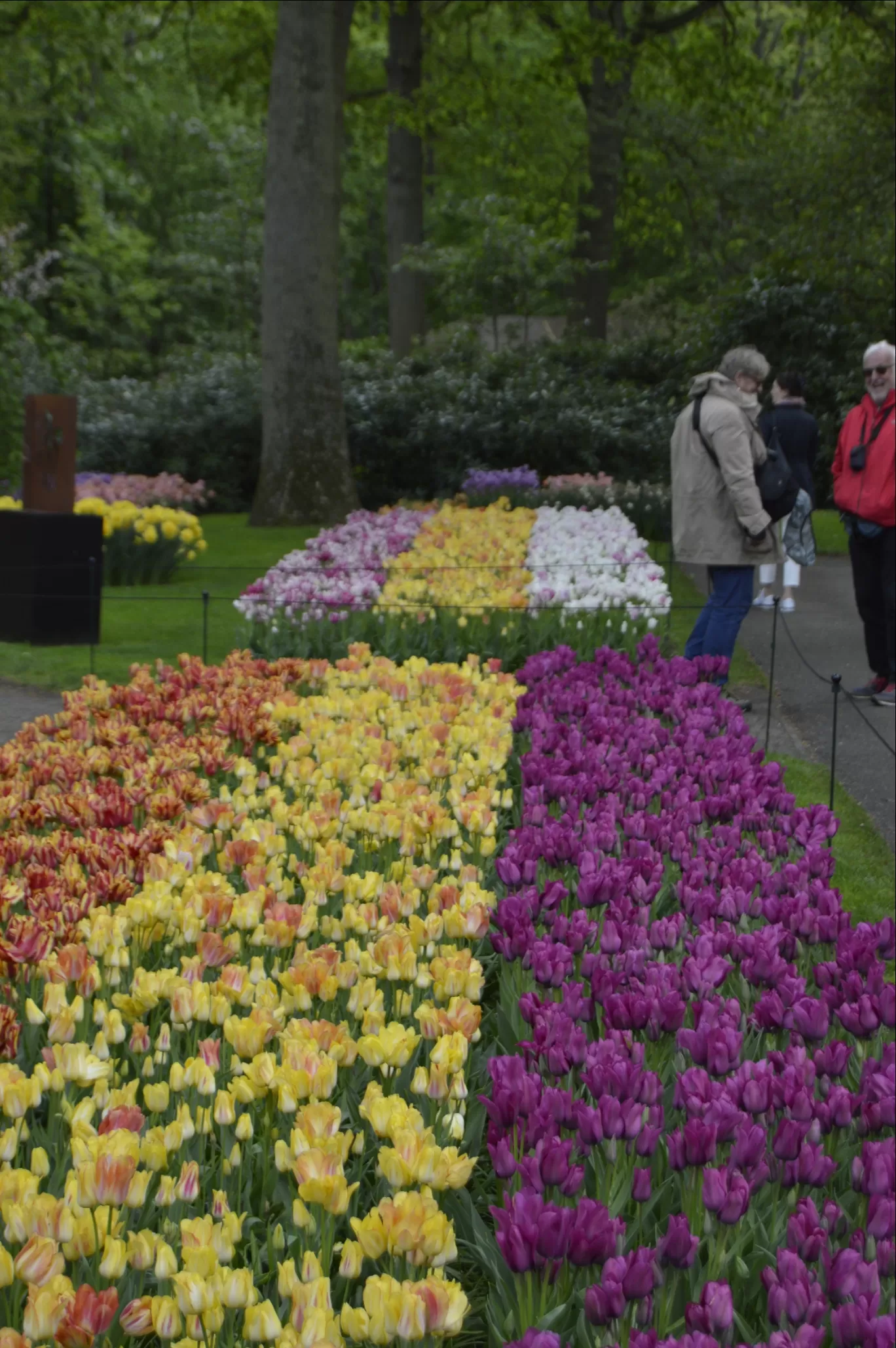 Photo of Keukenhof HOLLAND By Ninad Chitnis