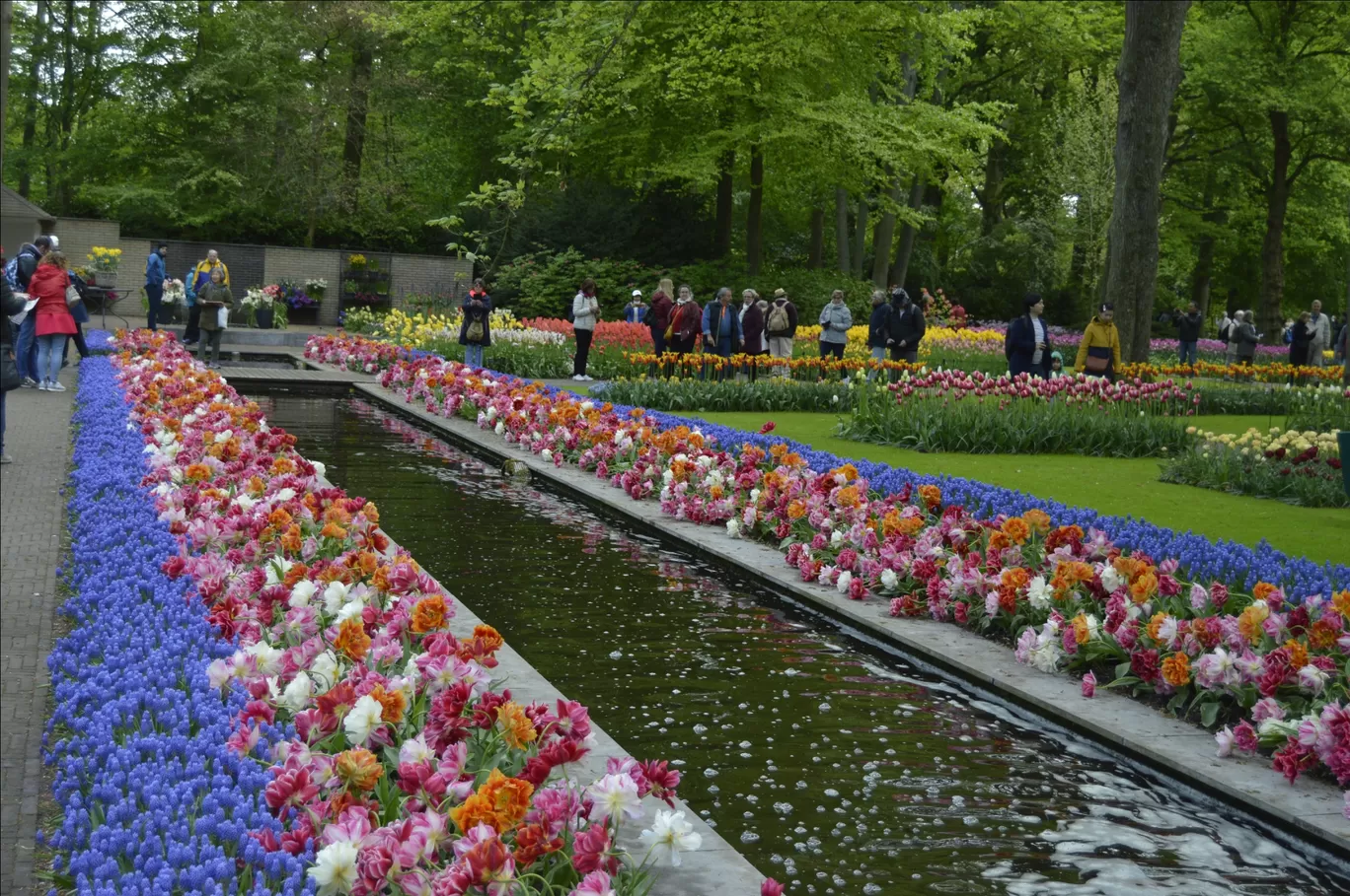 Photo of Keukenhof HOLLAND By Ninad Chitnis
