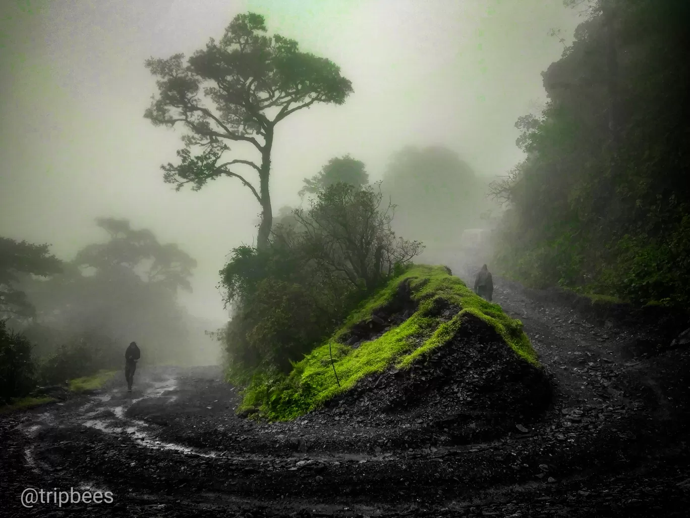 Photo of Kodachadri By Ranjit Periyasami
