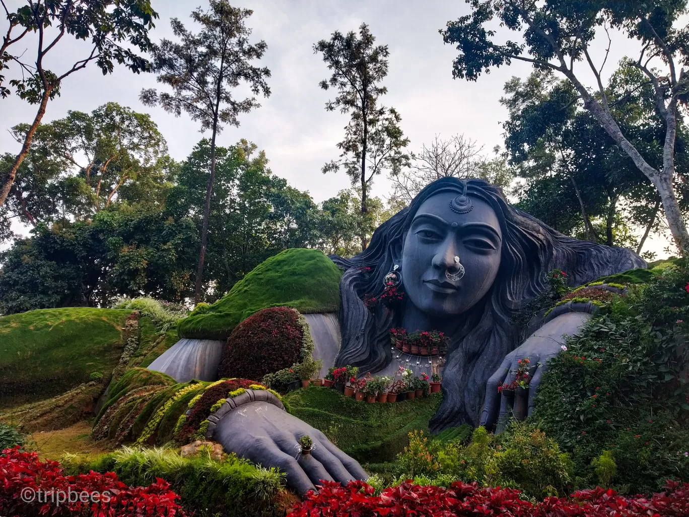 Photo of Kemmannugundi By Ranjit Periyasami