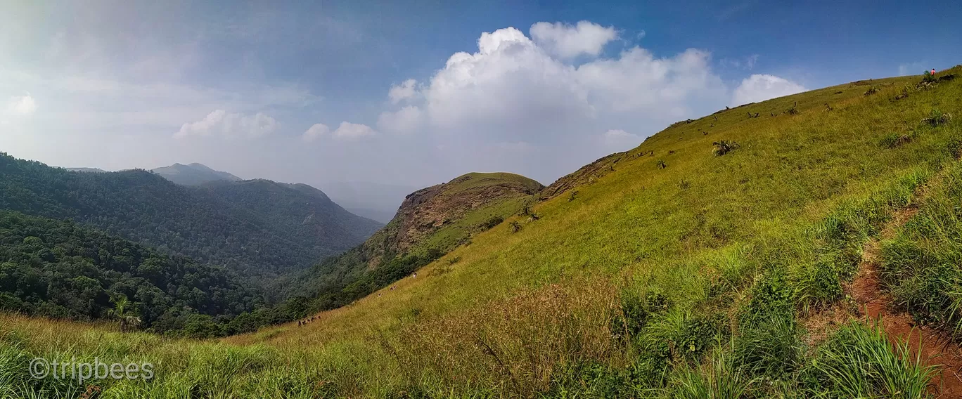 Photo of Western Ghats By Ranjit Periyasami