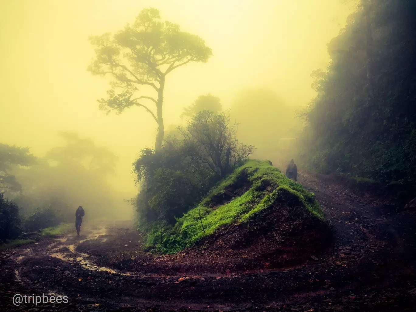 Photo of Western Ghats By Ranjit Periyasami