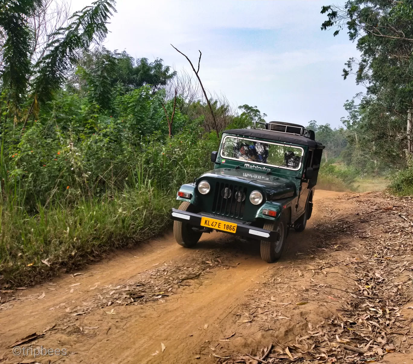 Photo of Western Ghats By Ranjit Periyasami