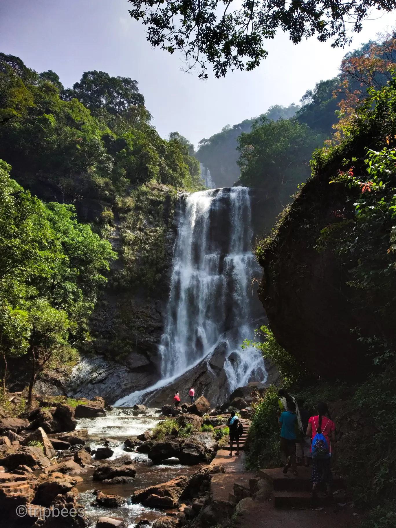 Photo of Western Ghats By Ranjit Periyasami