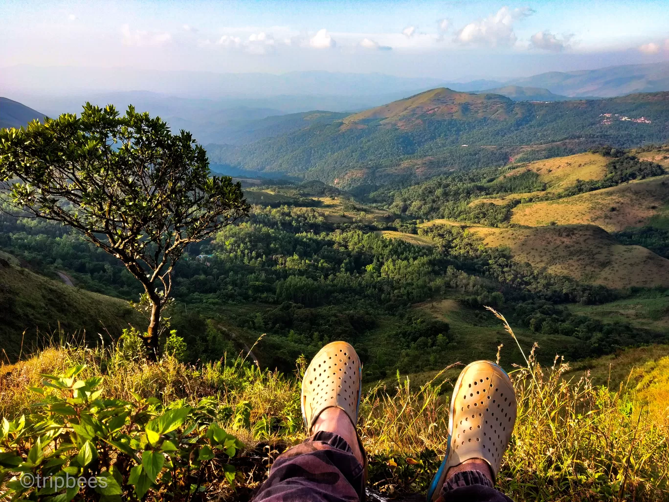 Photo of Western Ghats By Ranjit Periyasami