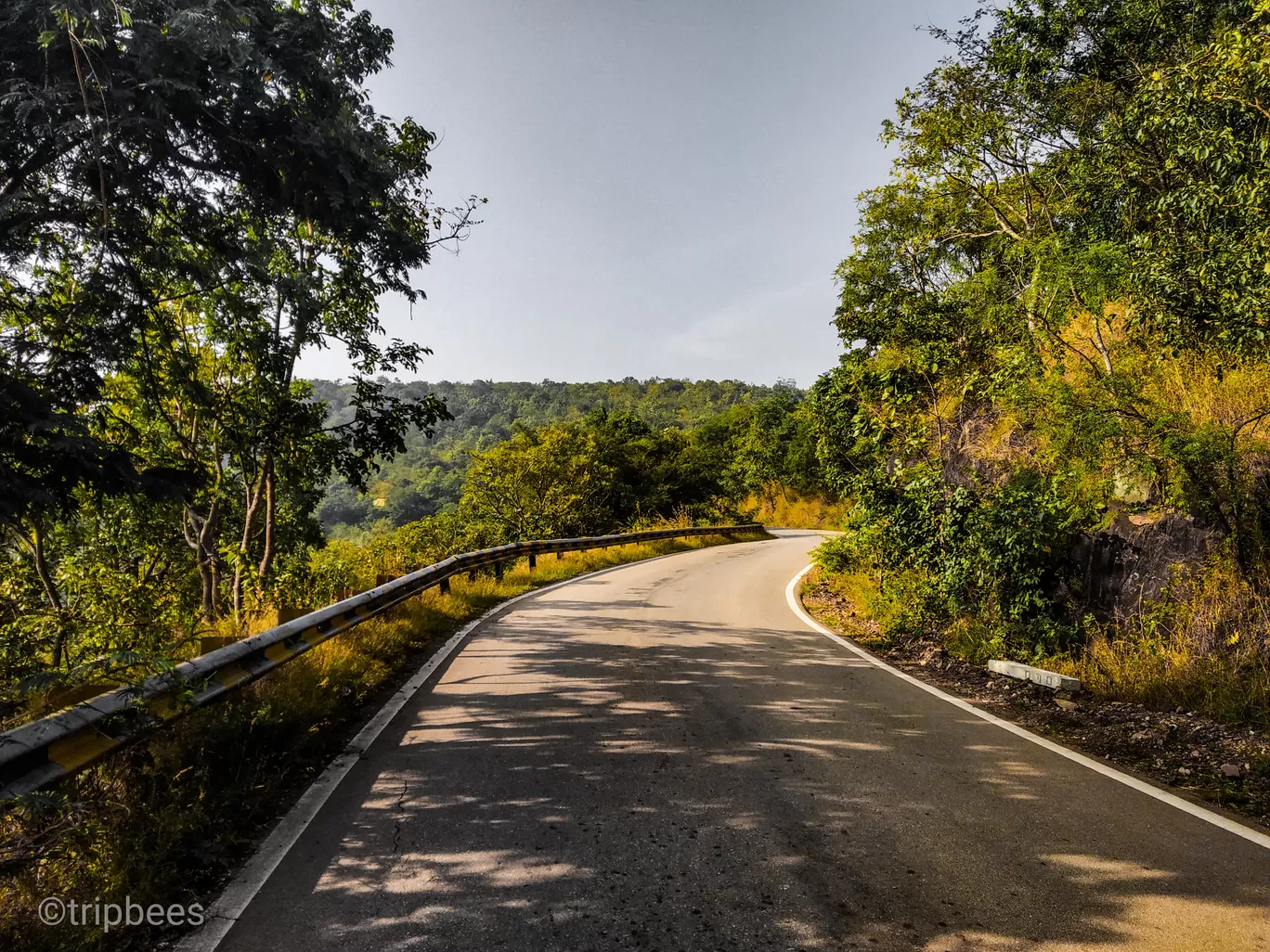 Photo of Western Ghats By Ranjit Periyasami