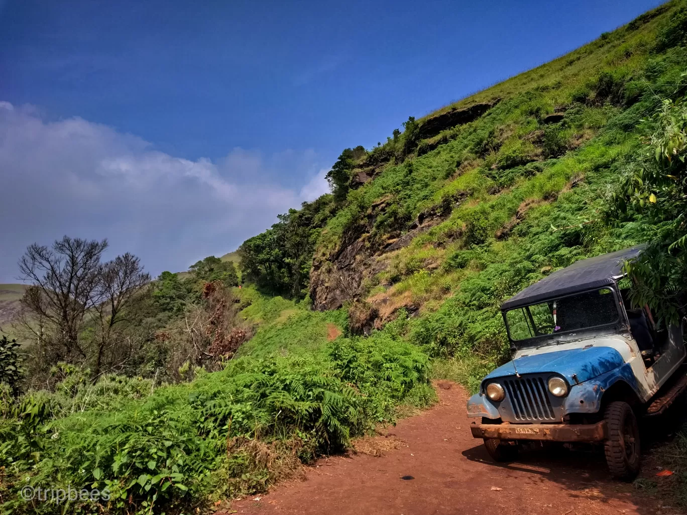 Photo of Western Ghats By Ranjit Periyasami