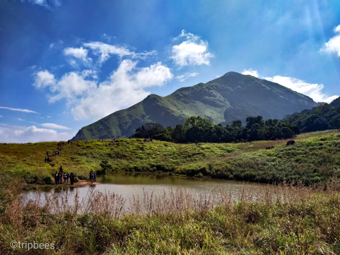 Photo of Western Ghats By Ranjit Periyasami