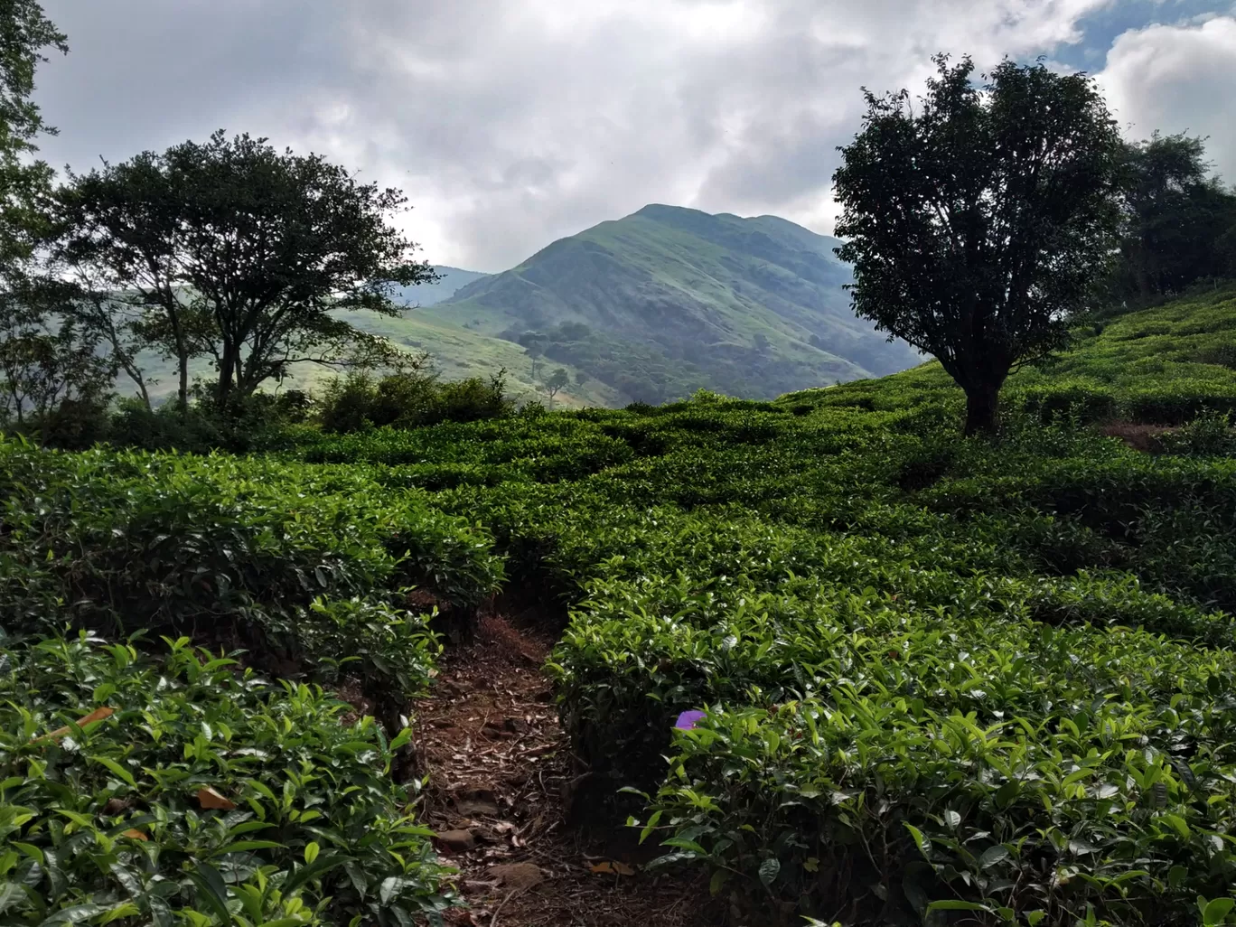 Photo of Western Ghats By Ranjit Periyasami