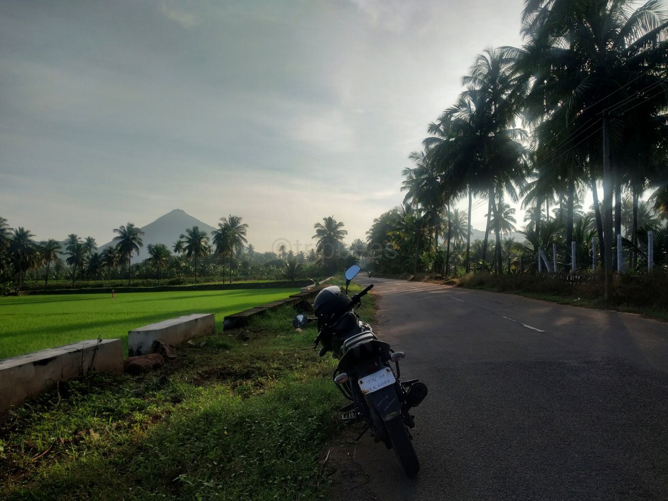 Photo of Jarugumalai Reserved Forest By Ranjit Periyasami