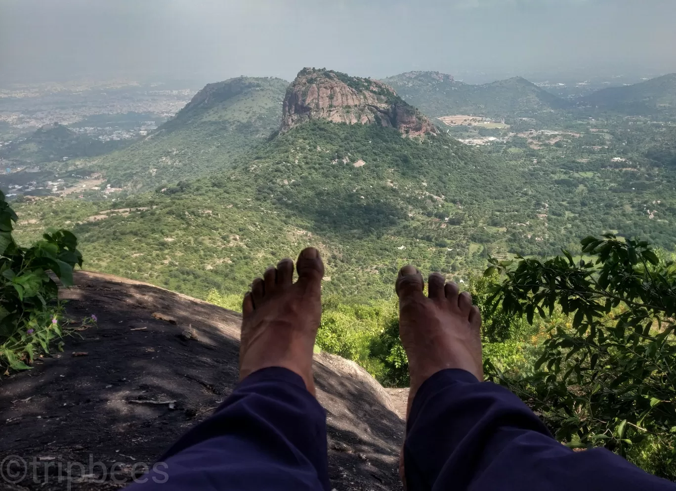 Photo of Jarugumalai Reserved Forest By Ranjit Periyasami