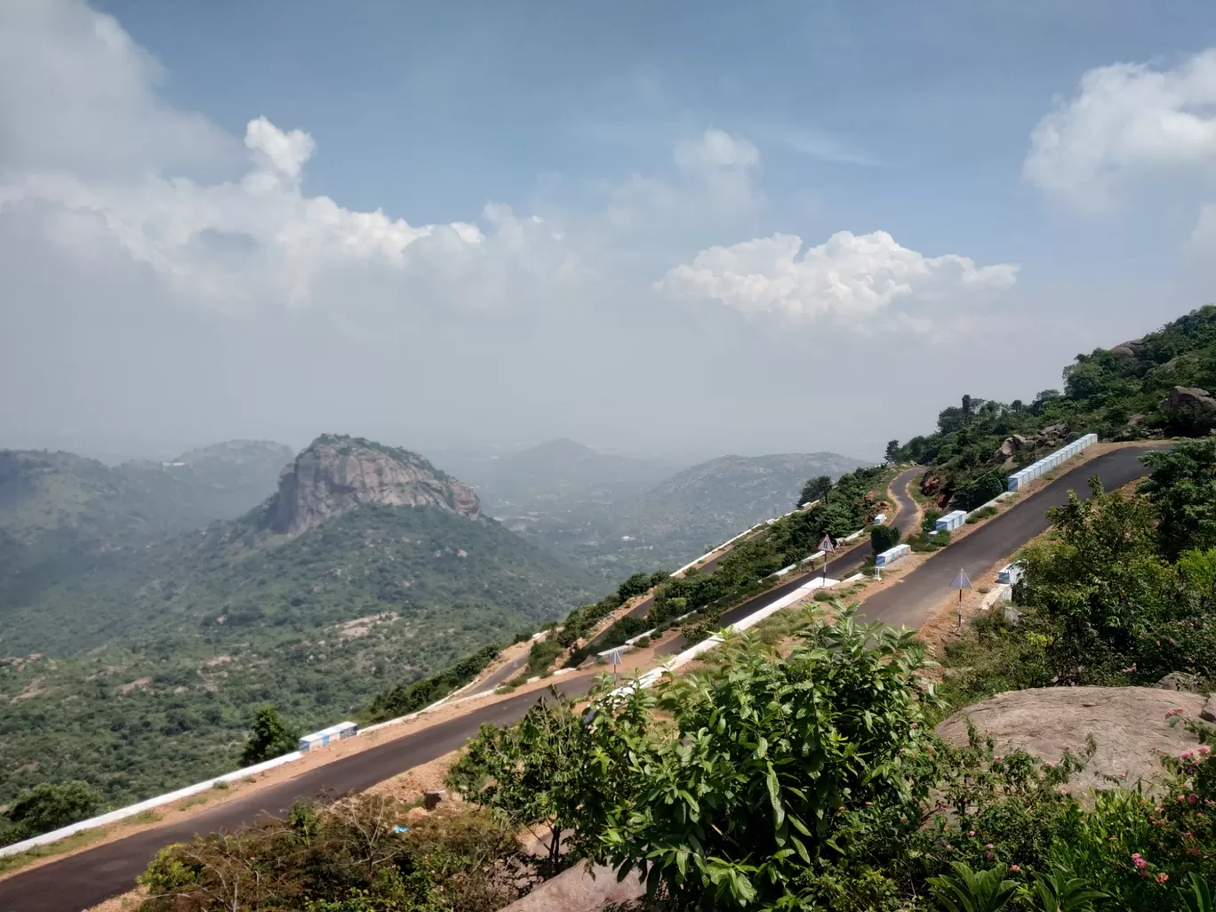 Photo of Jarugumalai Reserved Forest By Ranjit Periyasami