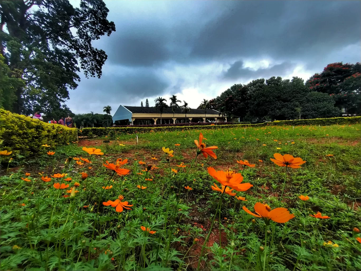 Photo of Yelagiri By Sumit Rajput