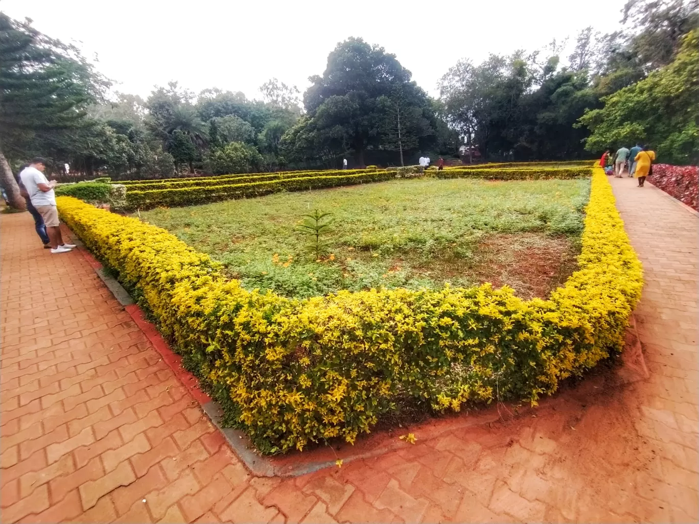 Photo of Yelagiri By Sumit Rajput