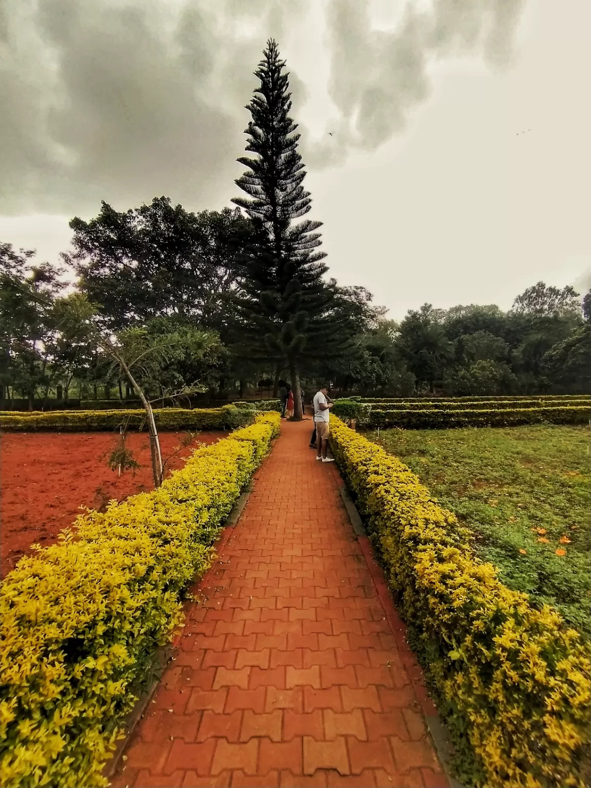 Photo of Yelagiri By Sumit Rajput