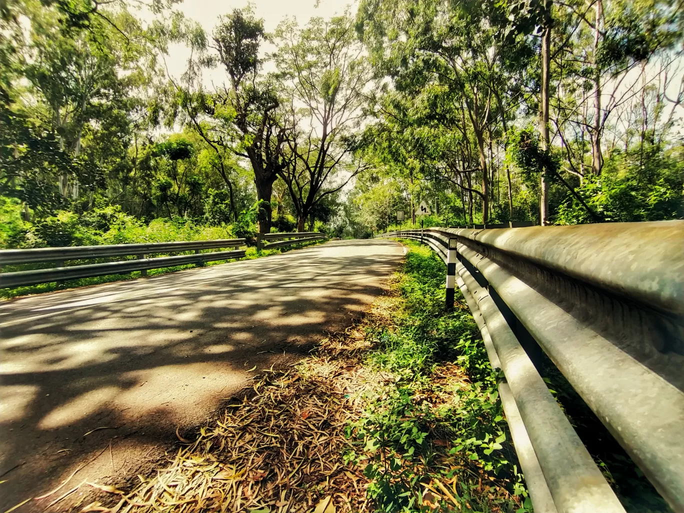 Photo of Yelagiri By Sumit Rajput