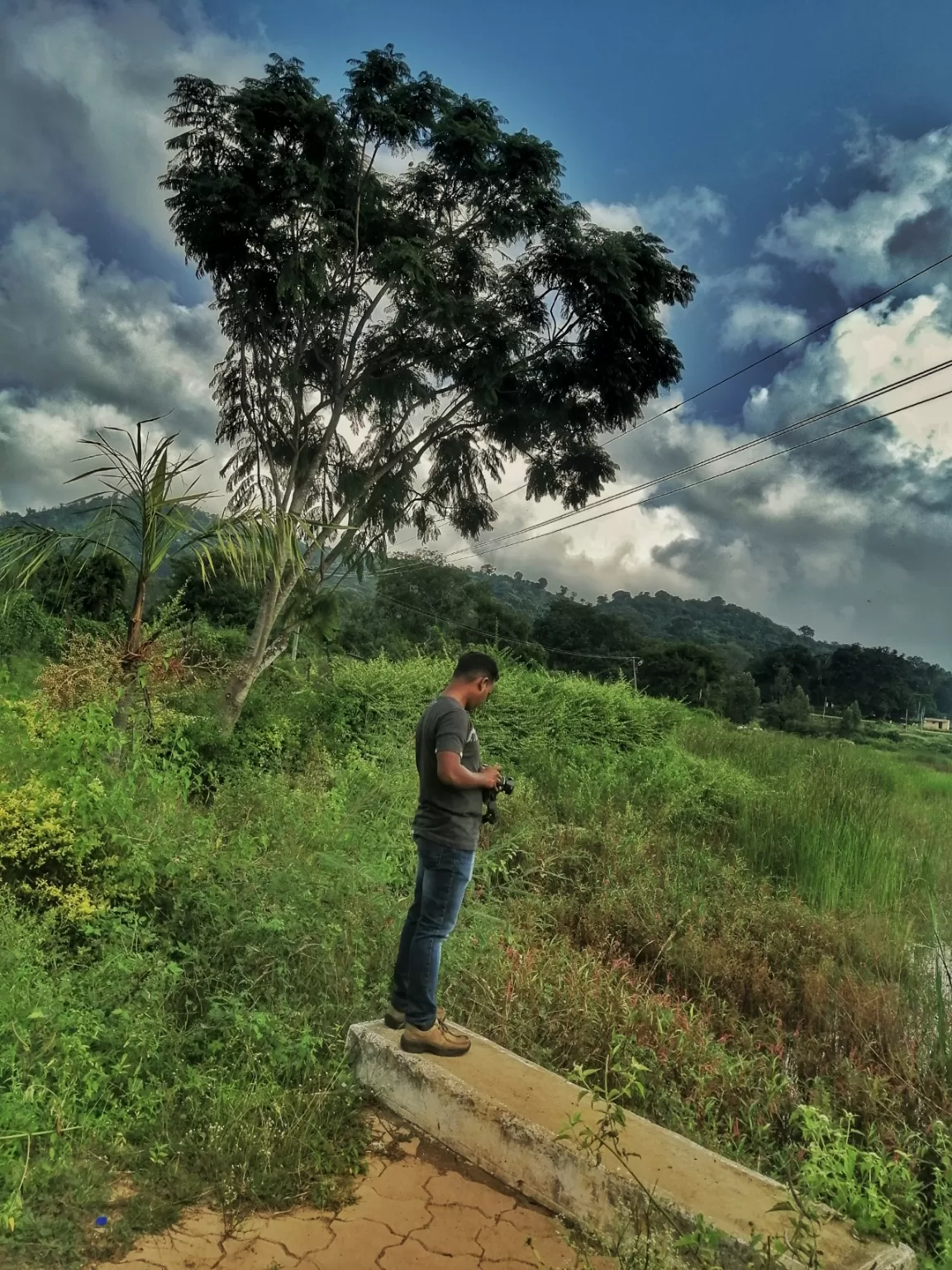 Photo of Yelagiri By Sumit Rajput