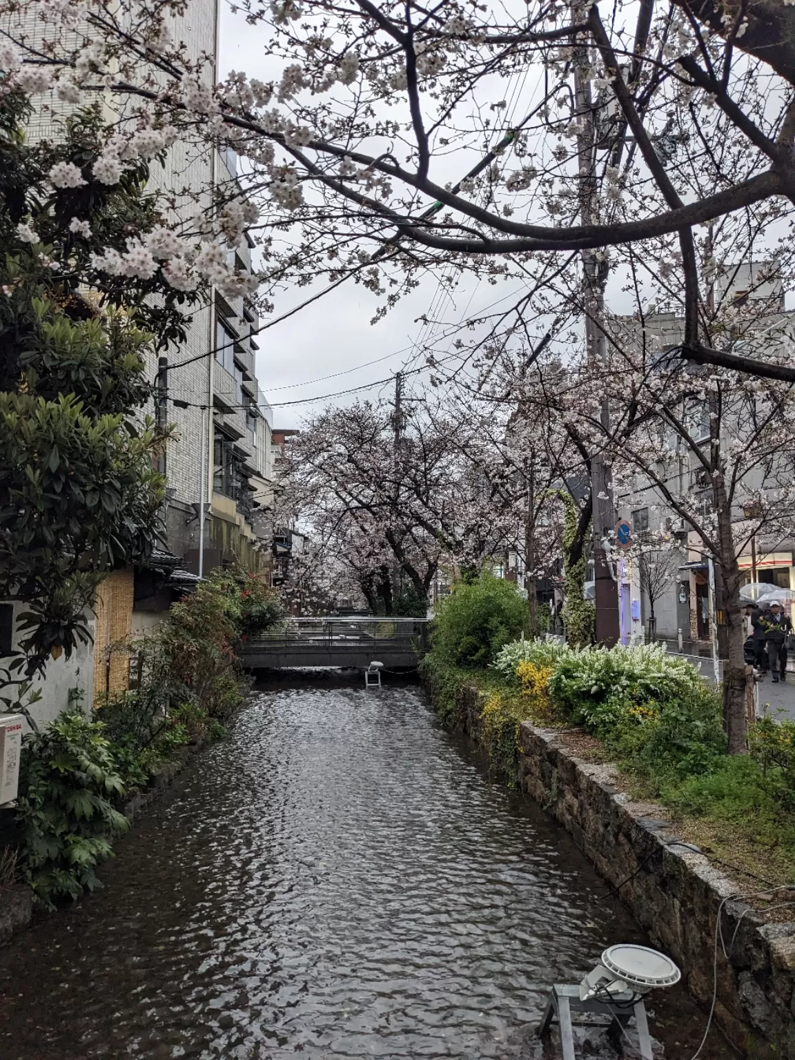 Photo of Kyoto By Khyati Maloo