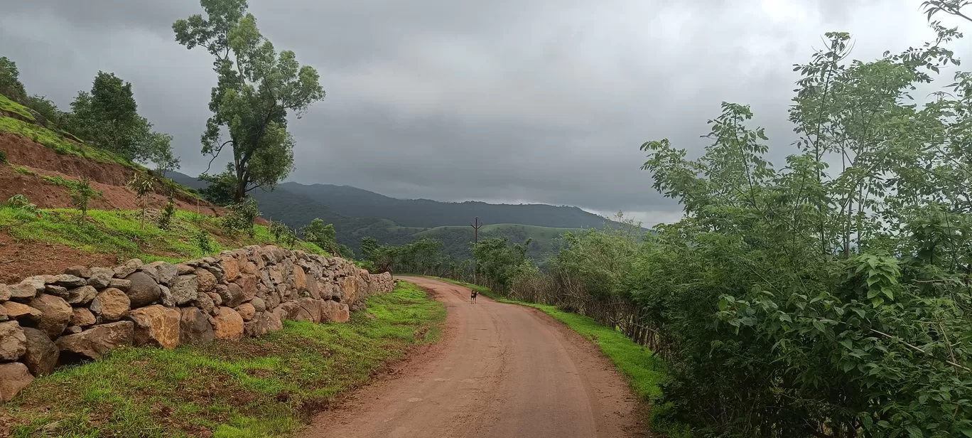 Photo of Panshet By Tushar Chatterji