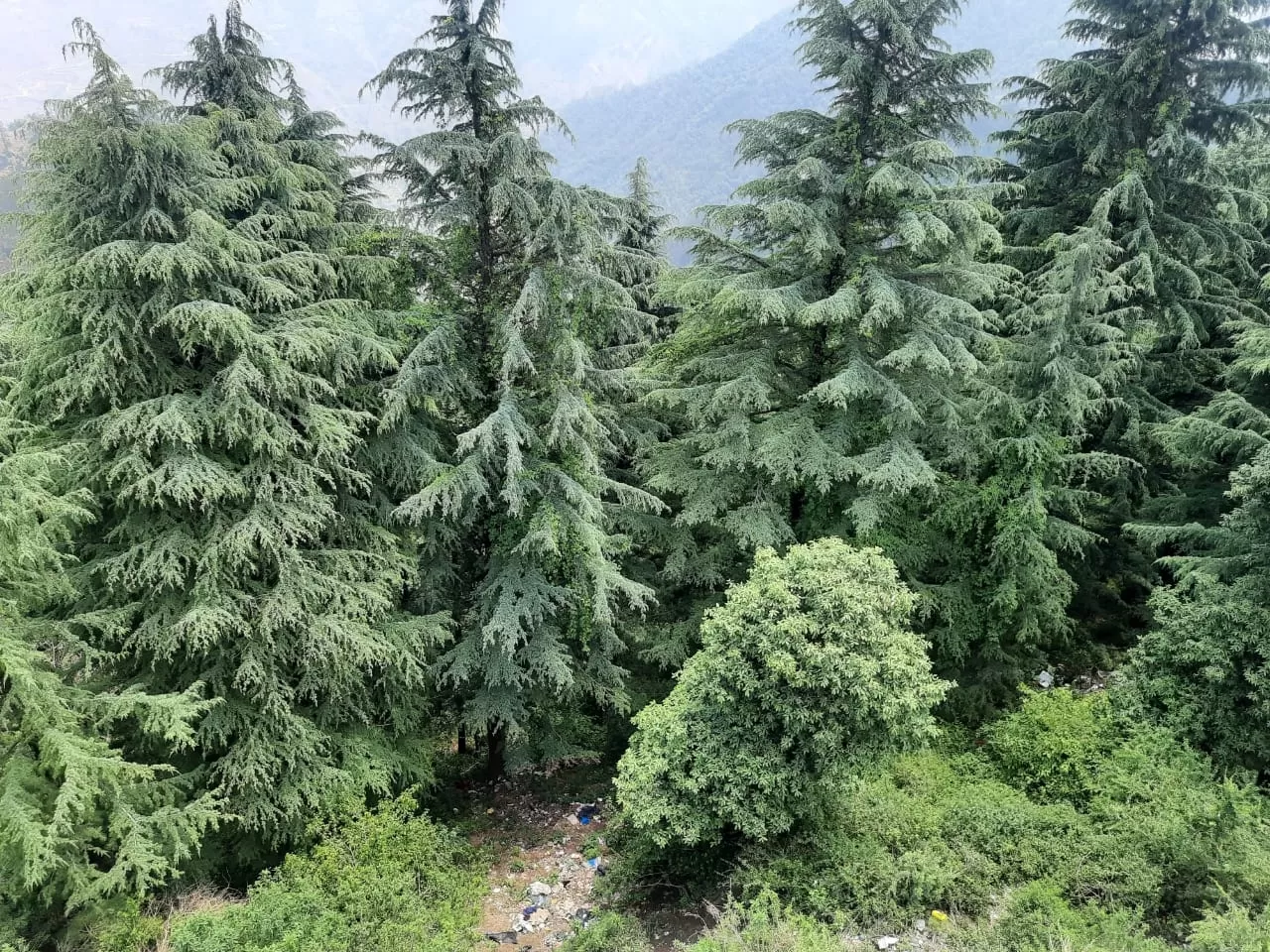Photo of Nainital By Shivani Sharma