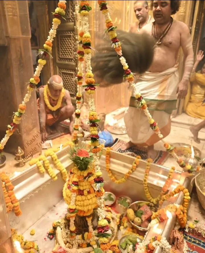 Photo of Kashi By Shivani Sharma