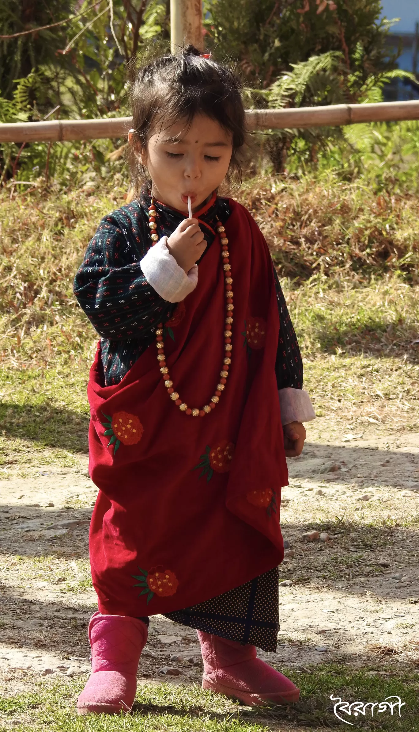 Photo of India By Shyama Pal