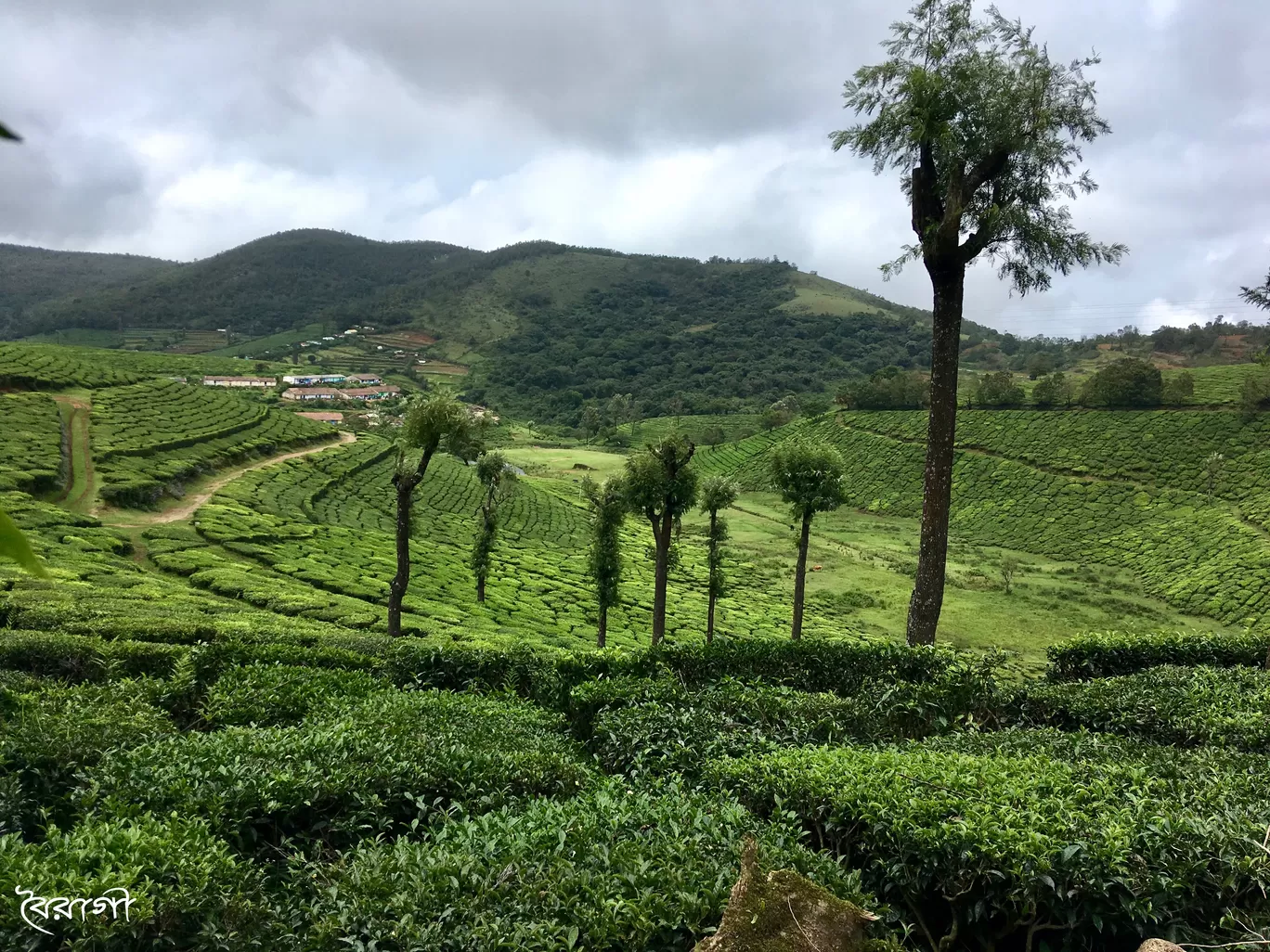 Photo of India By Shyama Pal